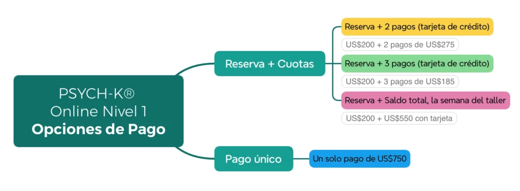 Opciones de pago Online Nivel 1