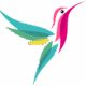 colibri. martha vargas. psych-k. logo.